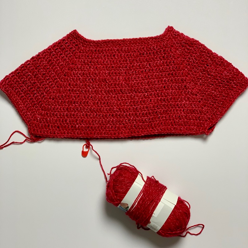 THNLife - Almost Rosey Crochet Pattern | Liz Salazar